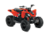 2019 Can-Am DS 90 for sale 200598714